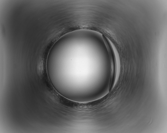 X0000089660740200707051529