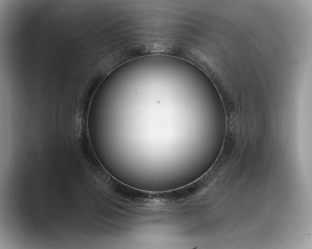 X0000089660741200707051529