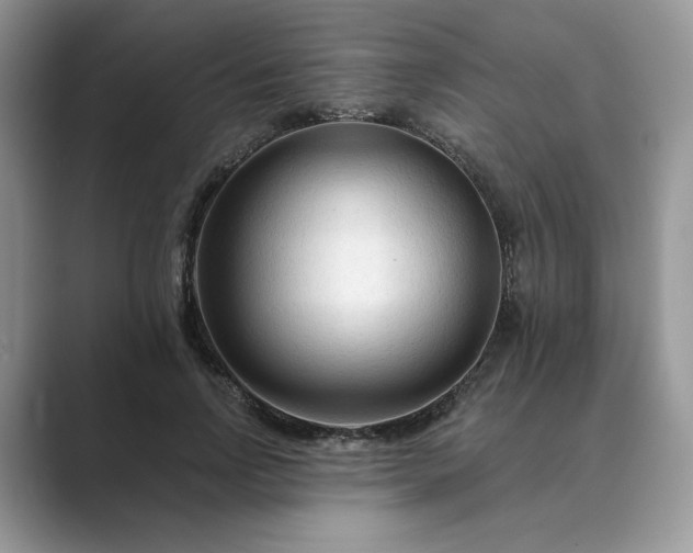 X0000089660742200707051529