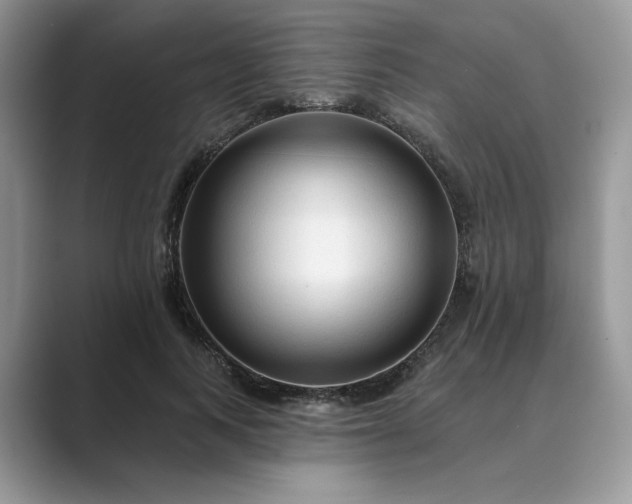 X0000089660743200707051529