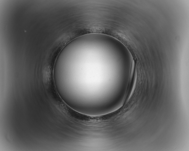 X0000089660744200707051529