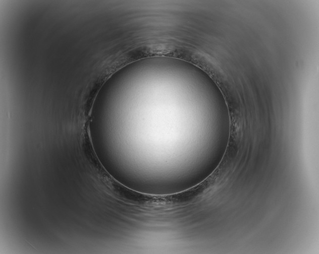 X0000089660745200707051529