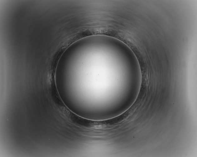 X0000089660746200707051529