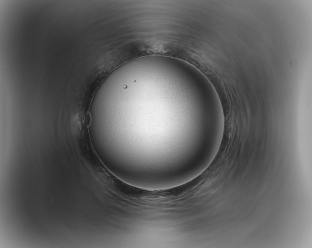 X0000089660747200707051529