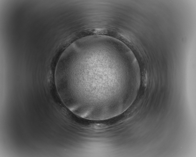 X0000089660748200707051529