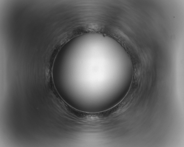 X0000089660749200707051529