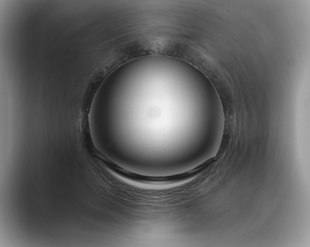 X0000089660750200707051529