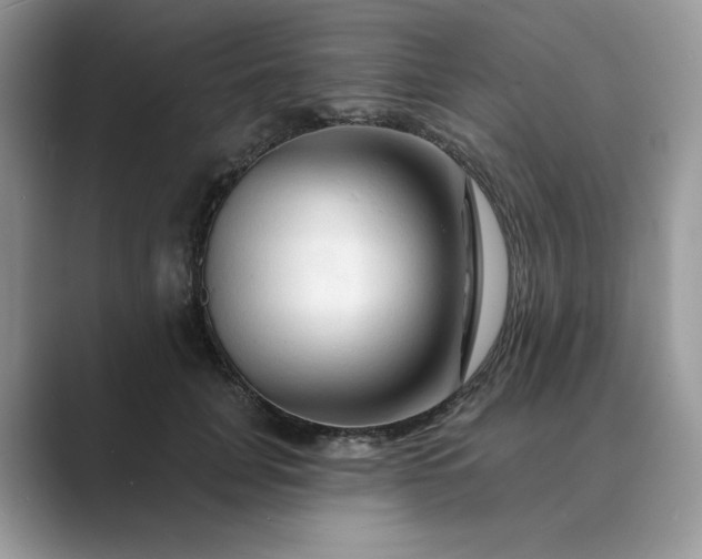 X0000089660751200707051529