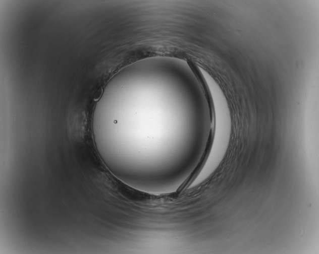 X0000089660752200707051529