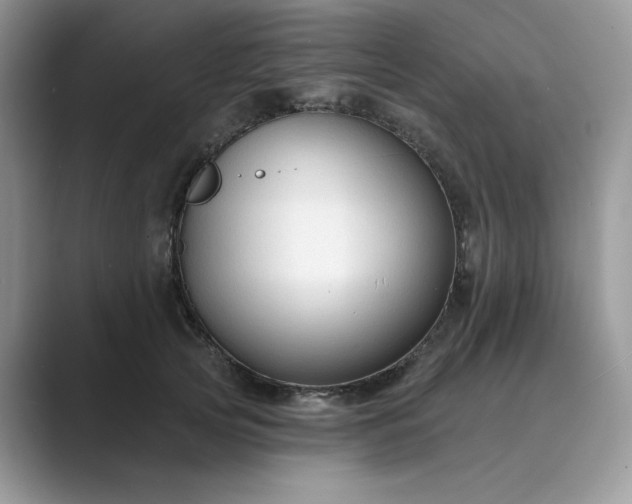 X0000089660753200707051529