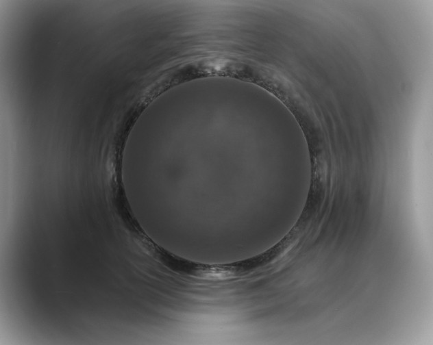 X0000089660754200707051529