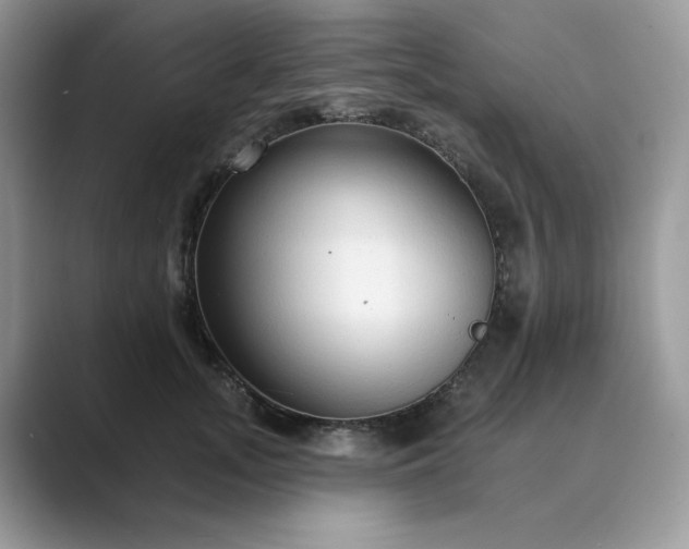 X0000089660755200707051529