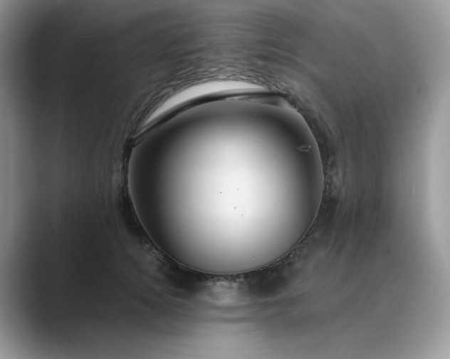 X0000089660756200707051529