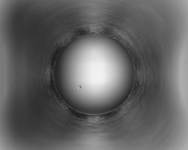 X0000089660757200707051529