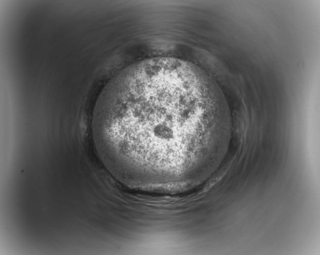 X0000089660758200707051529