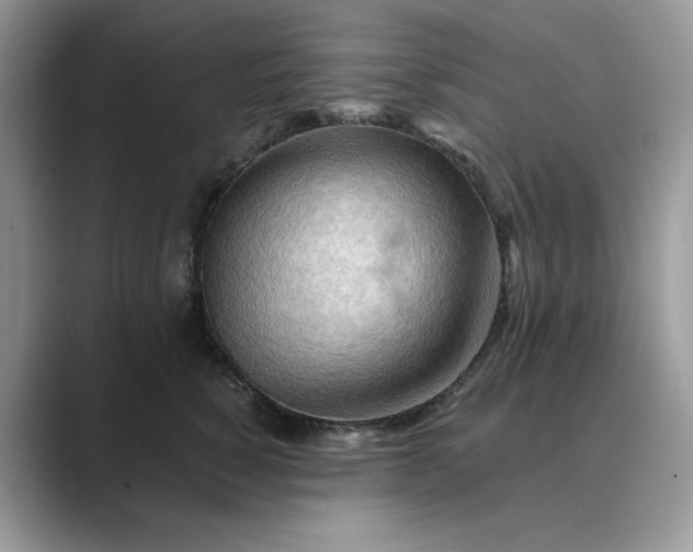 X0000089660760200707051529