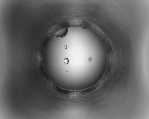 X0000089660761200707051529