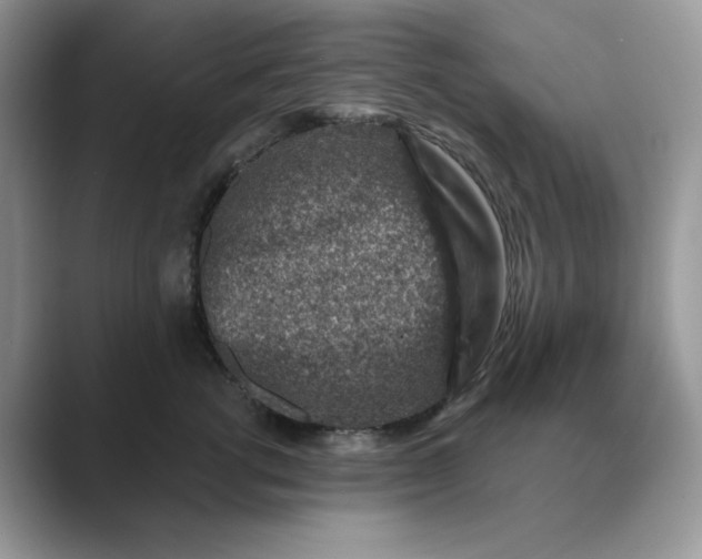 X0000089660762200707051529