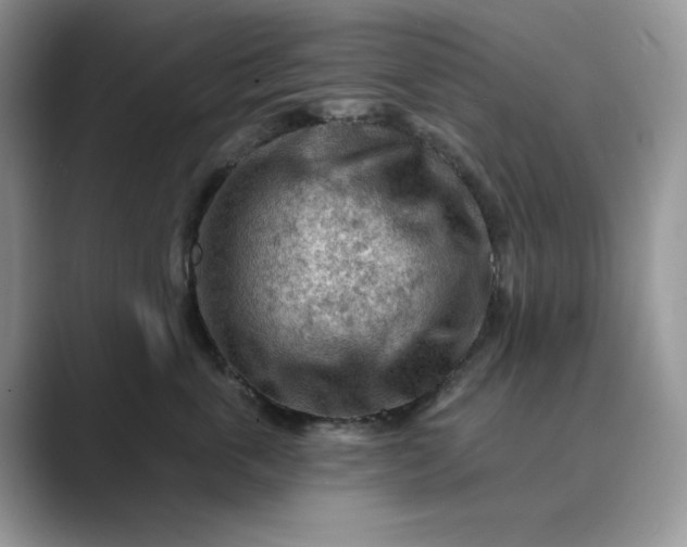 X0000089660763200707051530