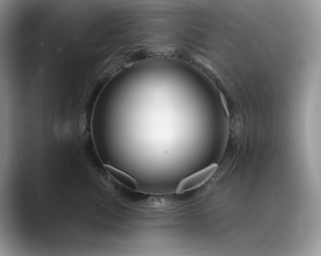 X0000089660764200707051530