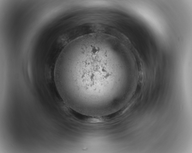 X0000089660765200707051530