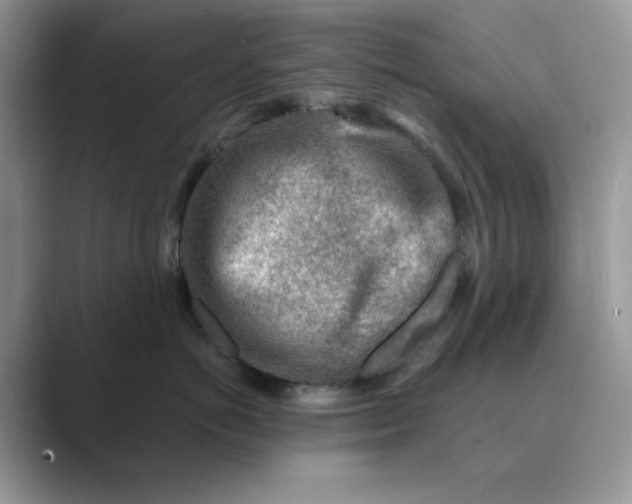 X0000089660766200707051530