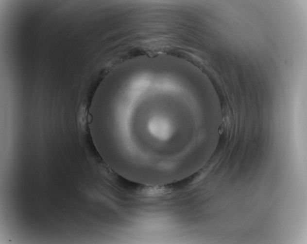 X0000089660767200707051530