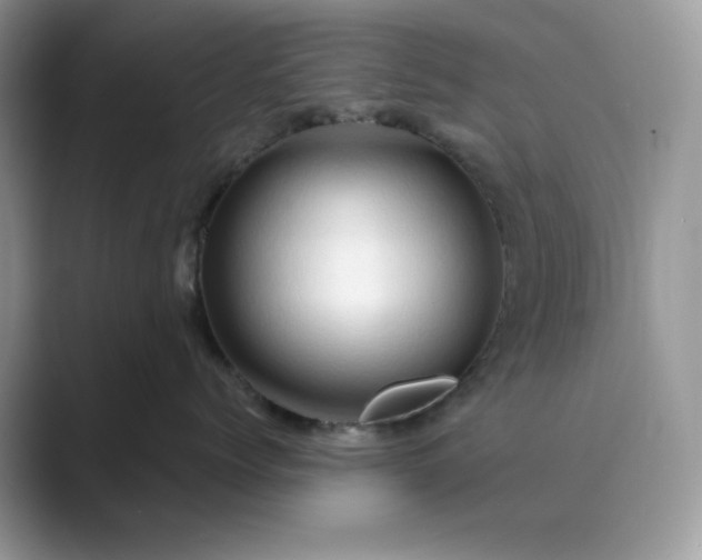 X0000089660768200707051530