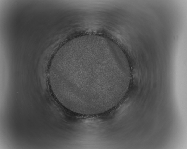 X0000089660769200707051529