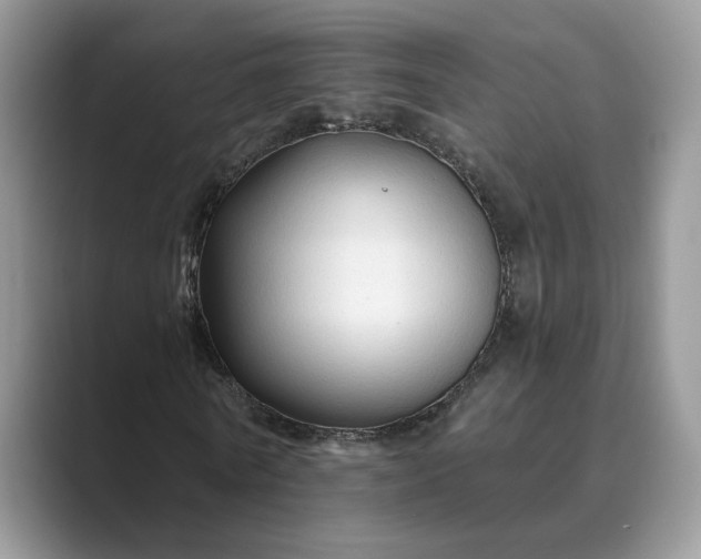 X0000089660770200707051529