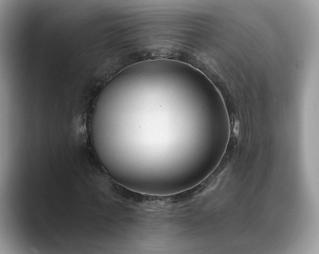 X0000089660771200707051529