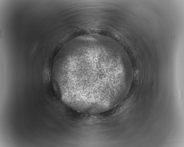 X0000089660772200707051529