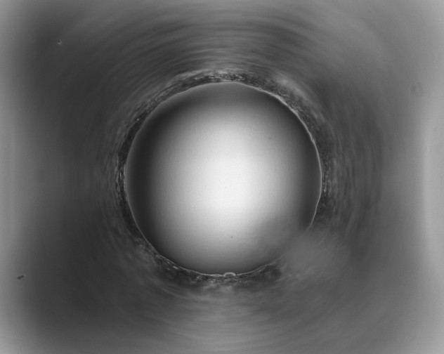 X0000089660773200707051529