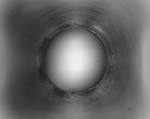 X0000089660774200707051529