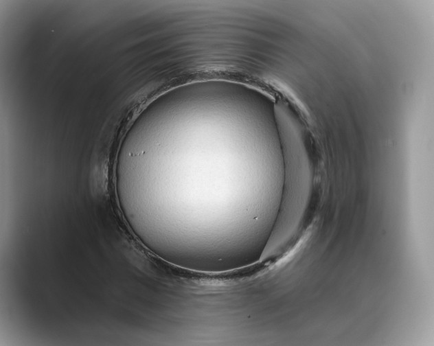 X0000089660777200707051529