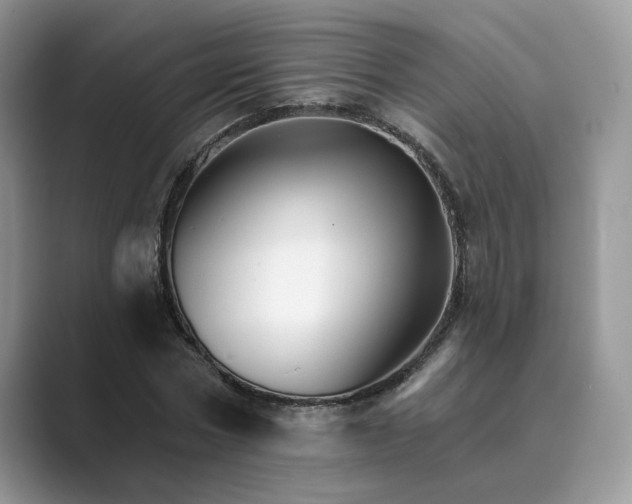 X0000089660778200707051529