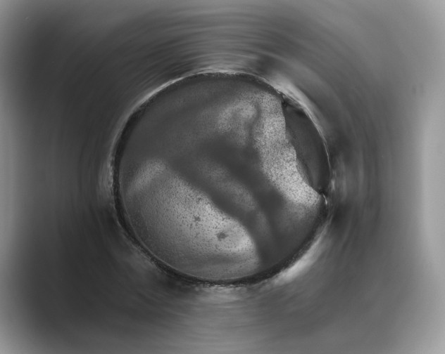 X0000089660779200707051529