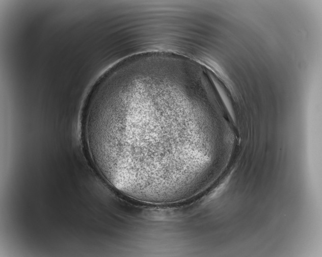 X0000089660780200707051529