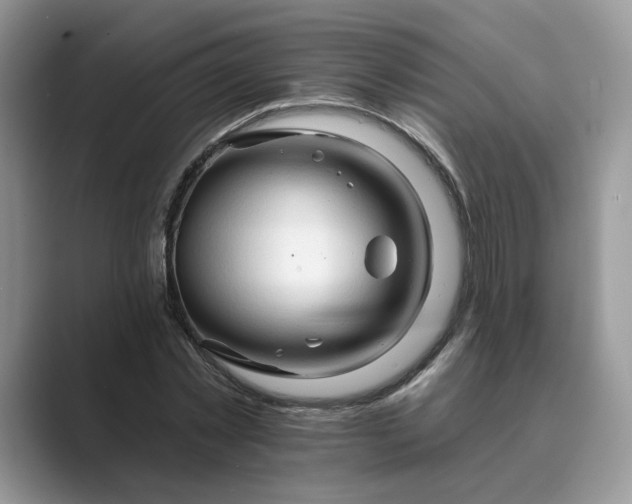 X0000089660781200707051529