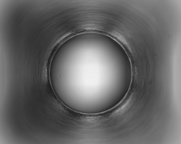 X0000089660782200707051529