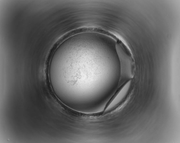 X0000089660783200707051529