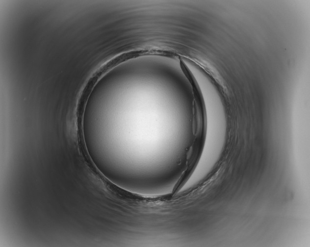 X0000089660784200707051529