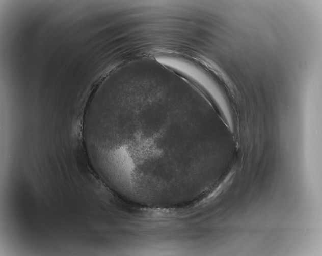 X0000089660785200707051529