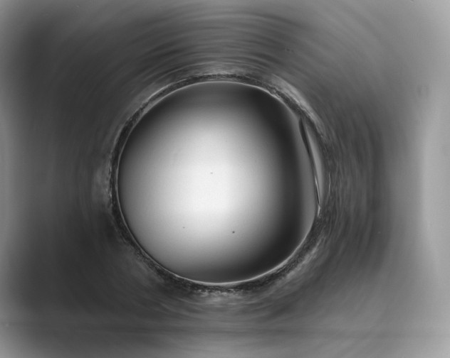 X0000089660786200707051529