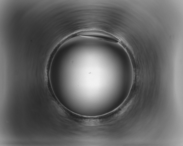 X0000089660789200707051529