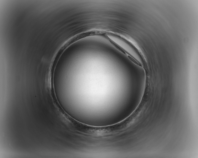 X0000089660791200707051529