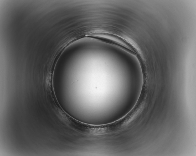 X0000089660793200707051529