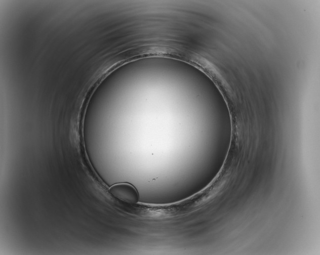 X0000089660794200707051529