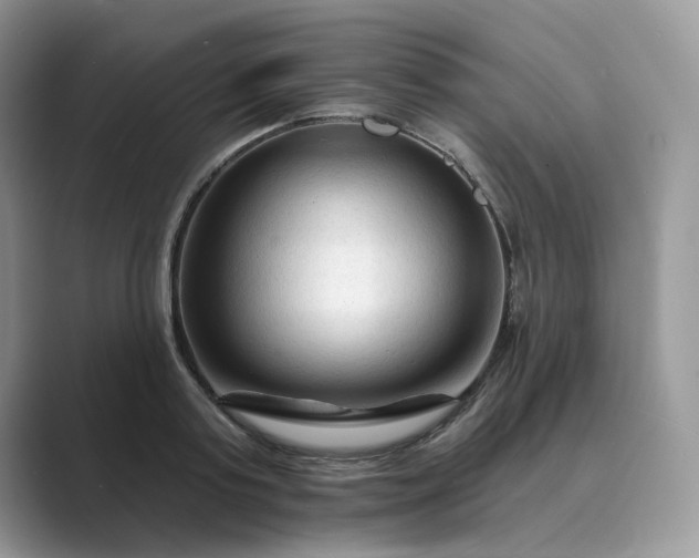 X0000089660795200707051529