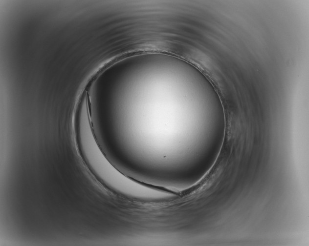 X0000089660796200707051529